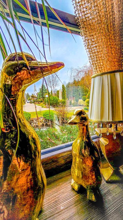 Kaktusik Hotel Augustow Ngoại thất bức ảnh
