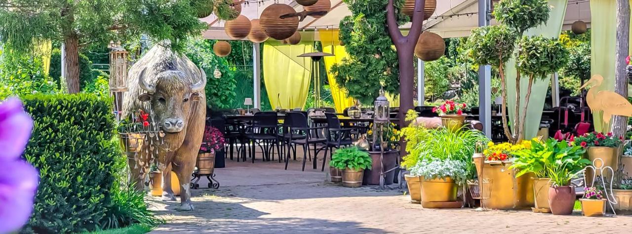 Kaktusik Hotel Augustow Ngoại thất bức ảnh