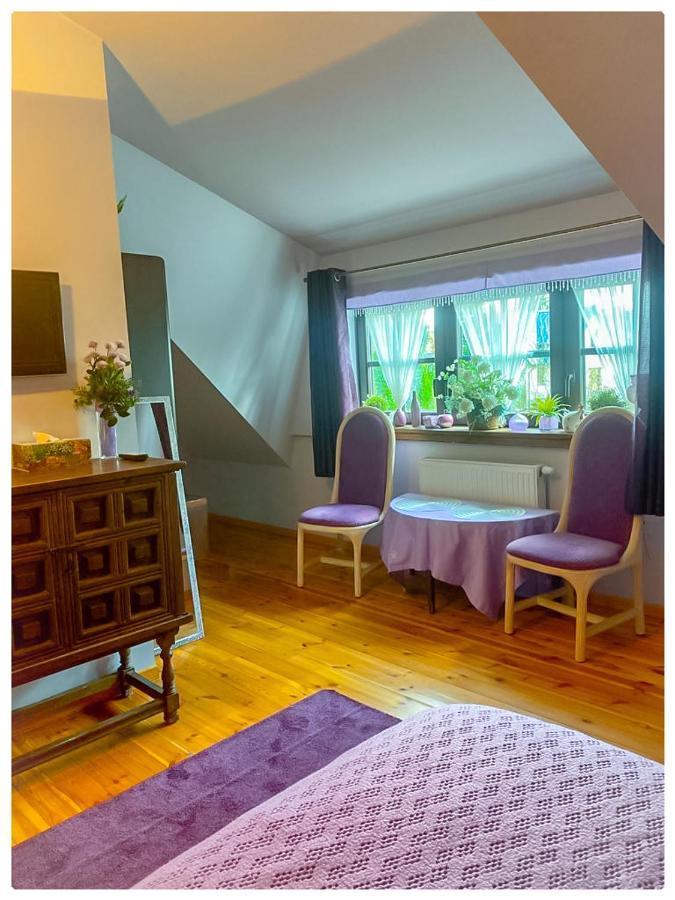 Kaktusik Hotel Augustow Ngoại thất bức ảnh